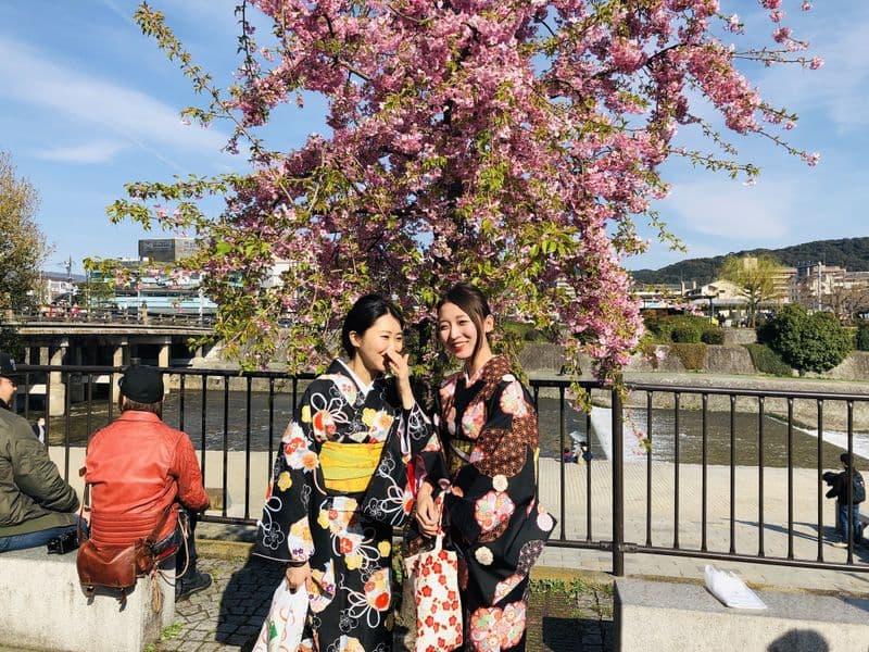 Yukata at Sakura in Kyoto